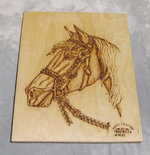 Fred Rizza - Wood Burning Picture