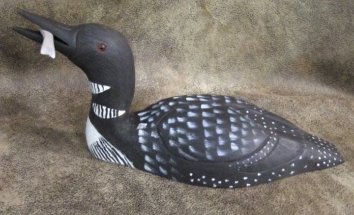 Stan Anderson: Common Loon