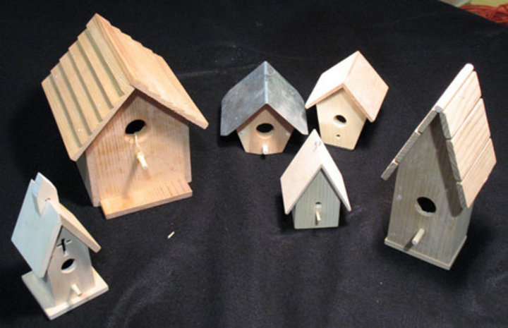 Will Schreier: Bird Houses