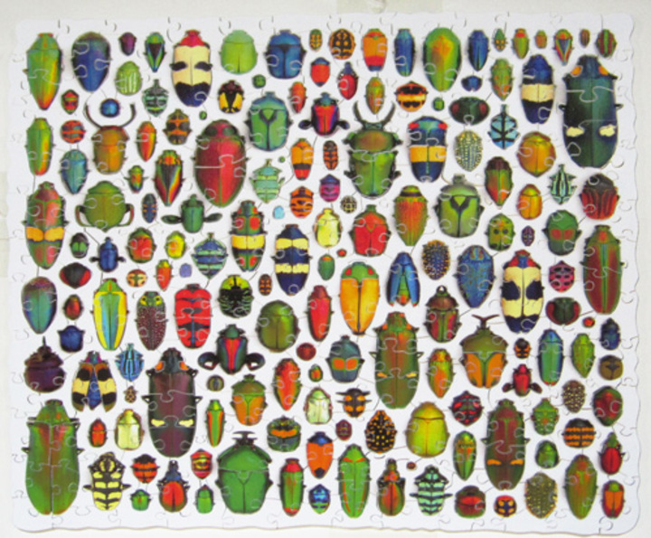 Carter Johnson: Beetles Puzzle