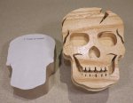 Will Brethauer - Skull Scrollsaw Box