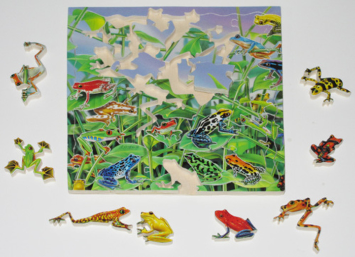 Carter Johnson: Frogs Puzzle