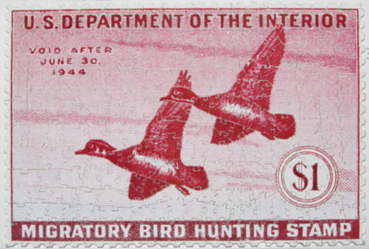 Will Richards: Enlarged Bird Hunting Stamp Puzzle
