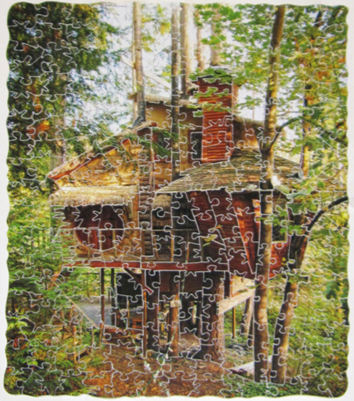 Carter Johnson: Treehouse Puzzle