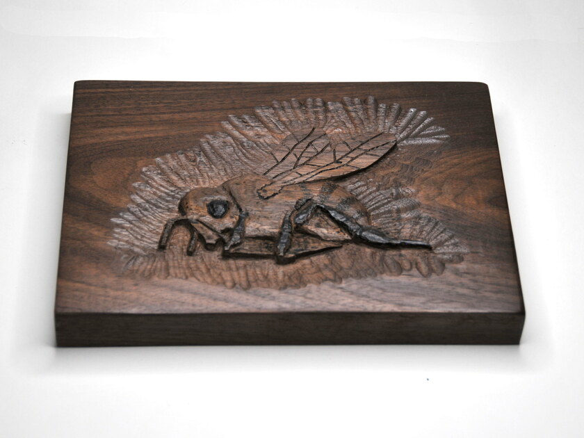 Nathan Wick: Bee Carving