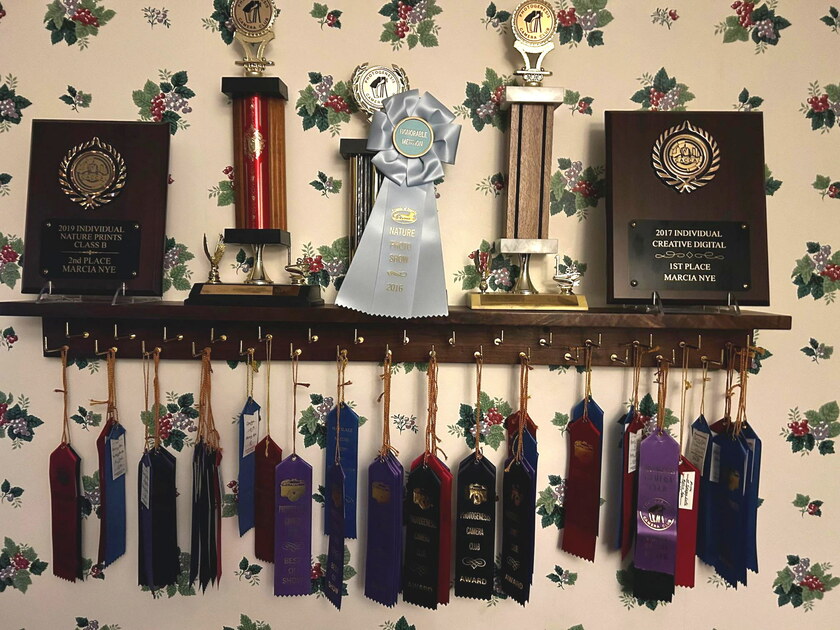 Lee Nye: Trophy Shelf