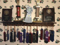 Lee Nye - Trophy Shelf